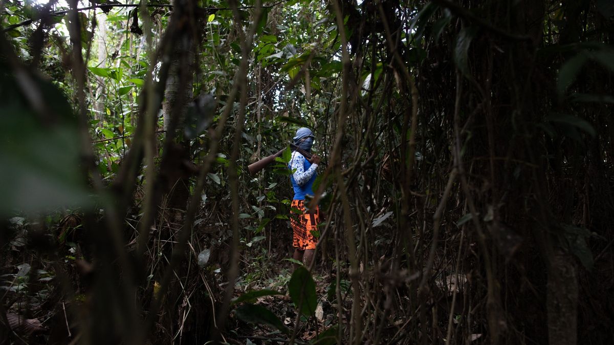 Pašování, pytláctví, ilegální těžba: Brazilský region, kde zavraždili dva muže